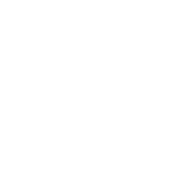 Work Permit Management